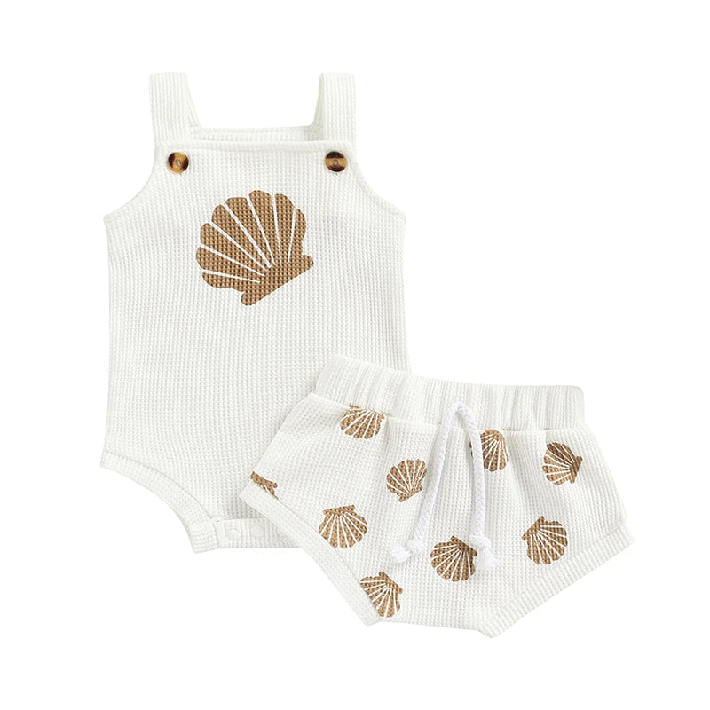 Seashell Set